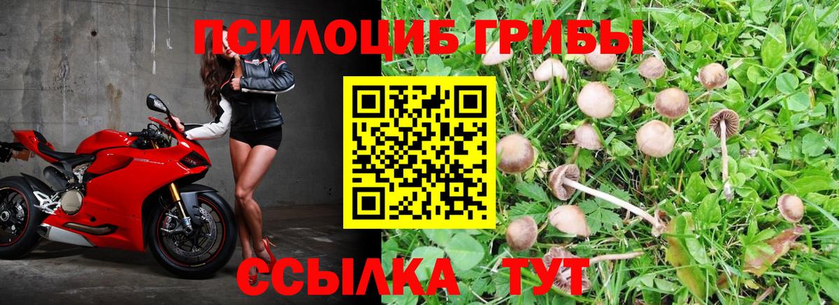 Псилоцибиновые грибы мухоморы Подольск