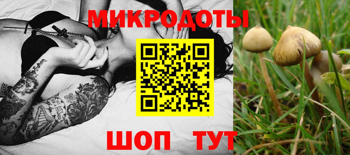 Псилоцибиновые грибы Psilocybine cubensis  Вход с VPN  Псилоцибиновые грибы ЛСД  Подольск 